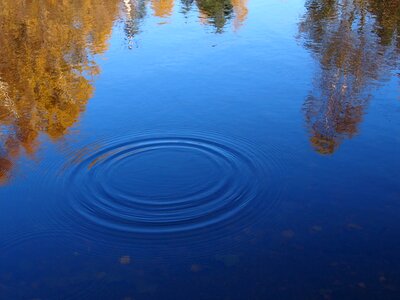 Water-level bank autumn