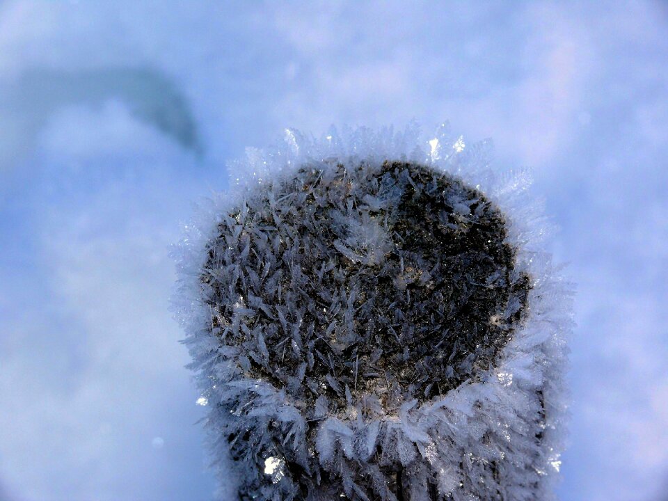 Frost crystal snow