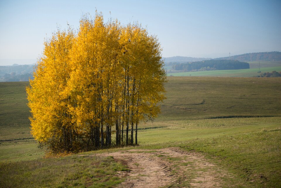 Slovakia foliage country