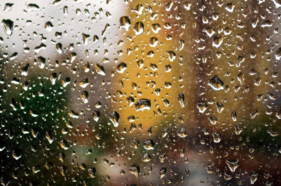 Wet rain drops drop