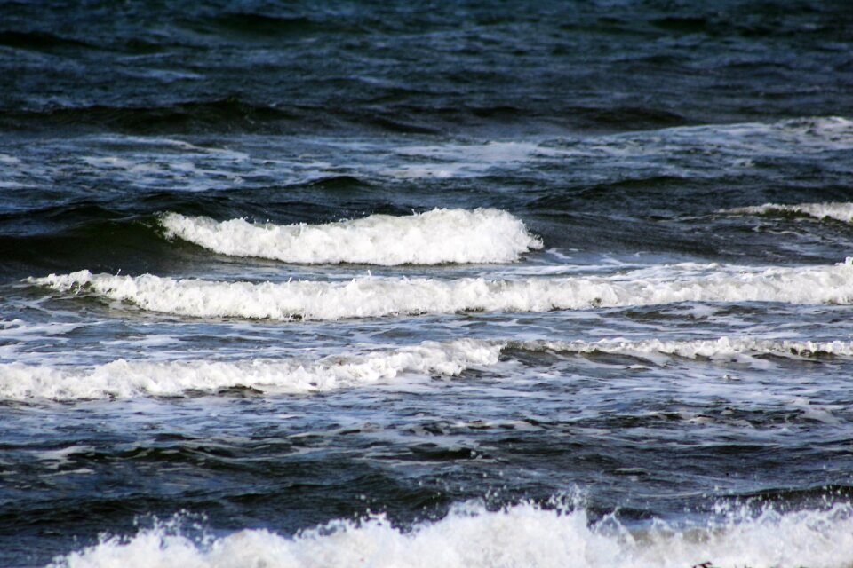 Sea head background
