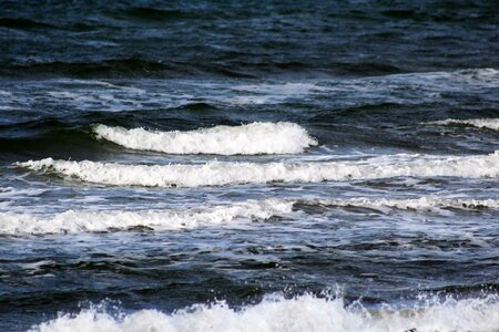 Sea head background