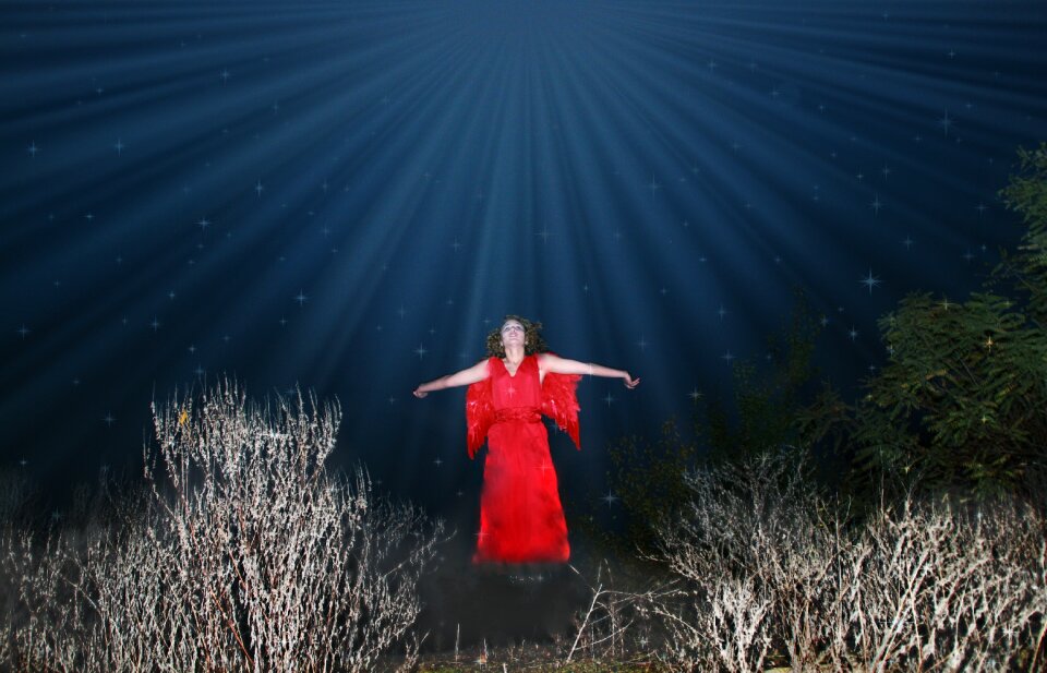 Wings red star