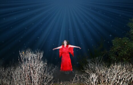 Wings red star
