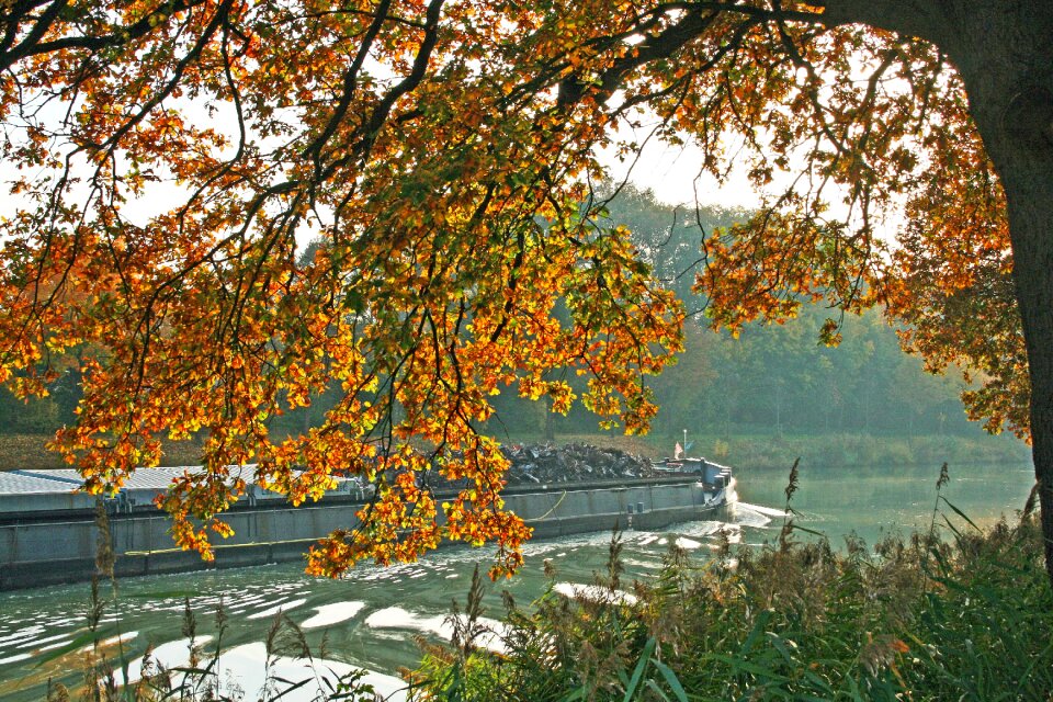 Channel water tree