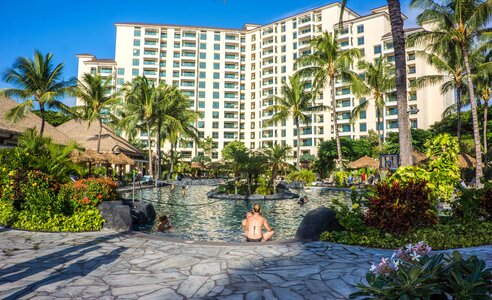 Resort pool palm trees