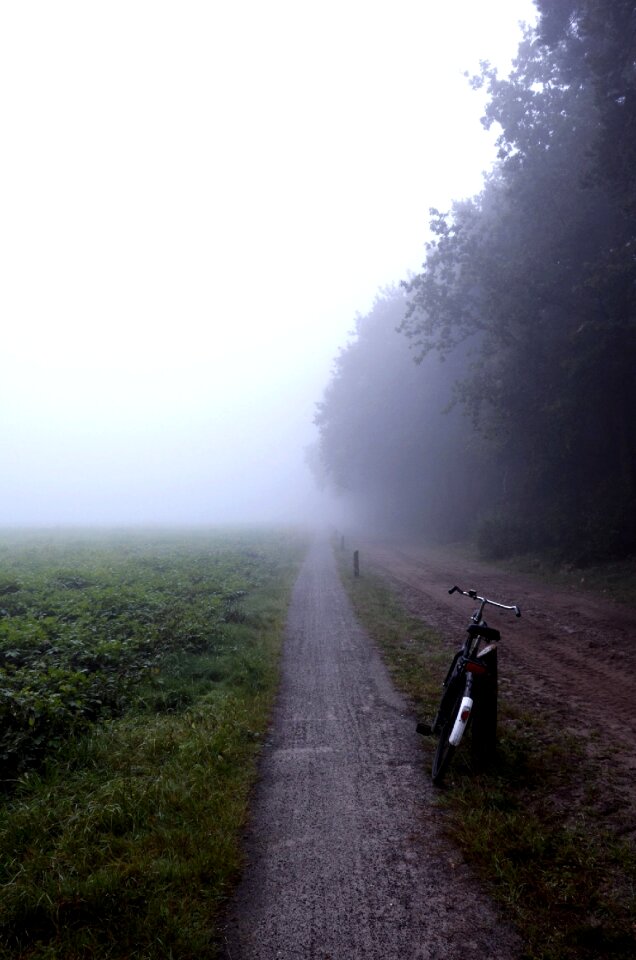 Misty filed gravel