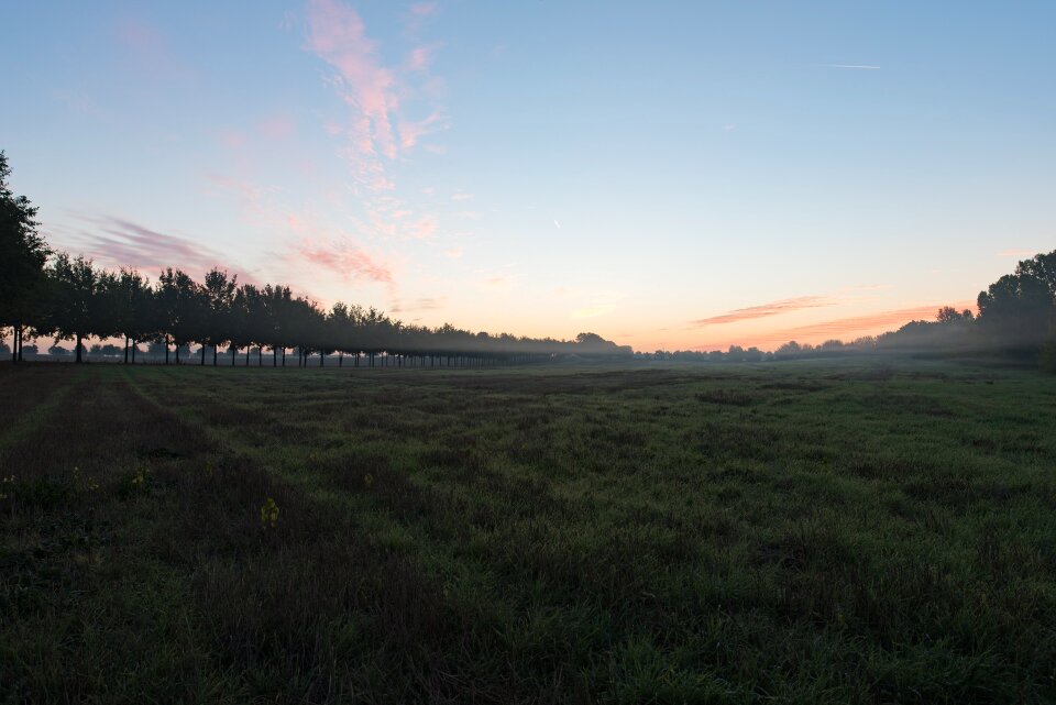 Haze lane field