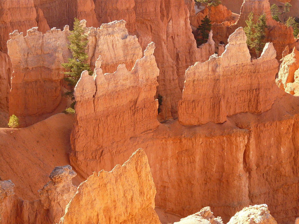 Utah combined states of america photo