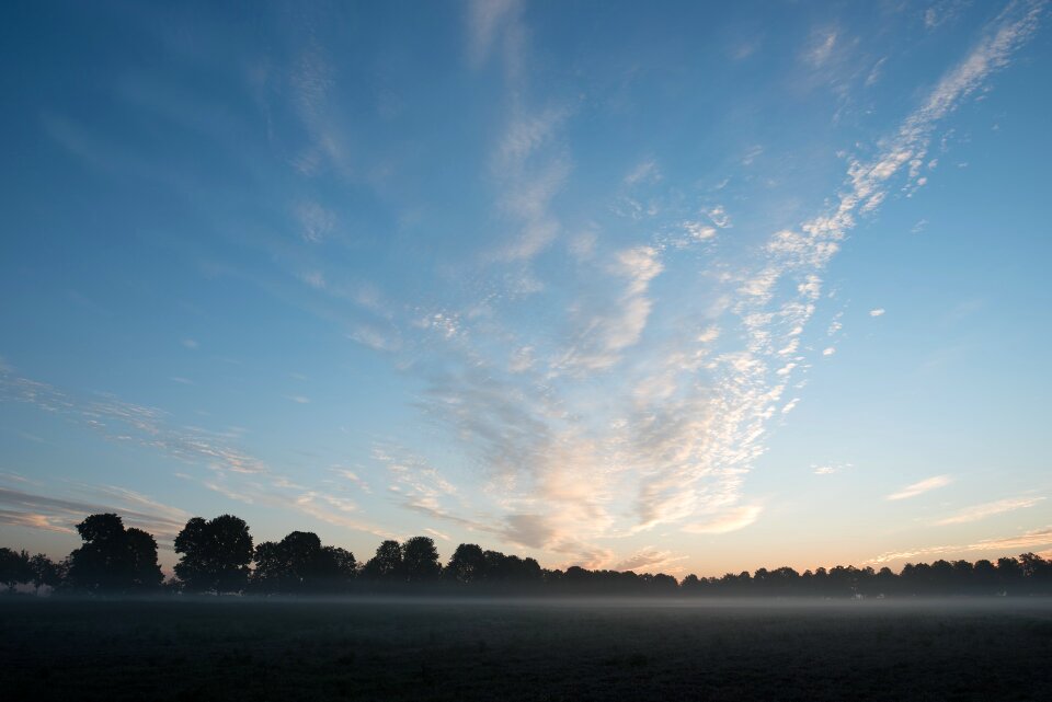 Sky field trees