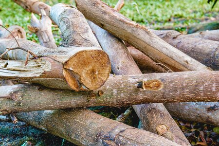 Cut the wood a pile of wood firewood photo