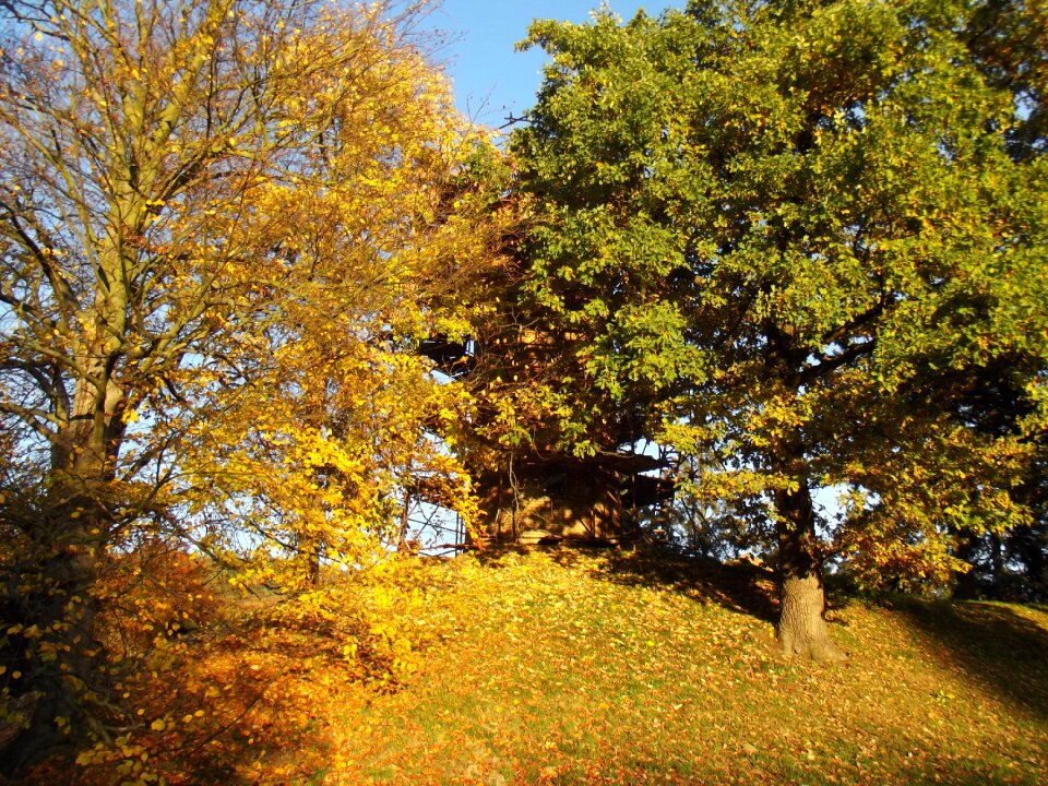 Landscape lookout foliage