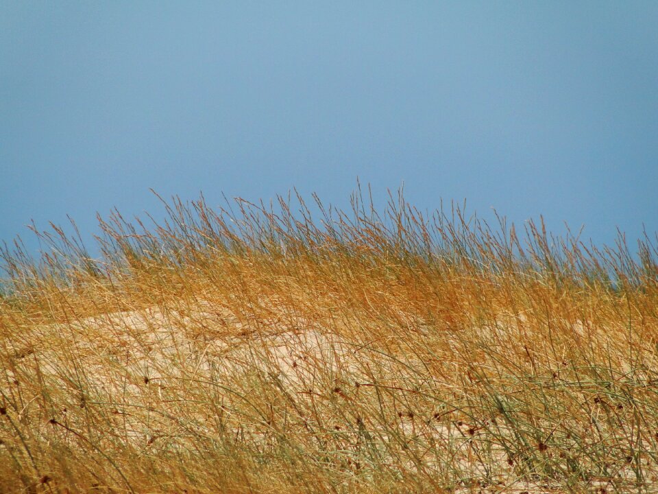 Horizon sky blue