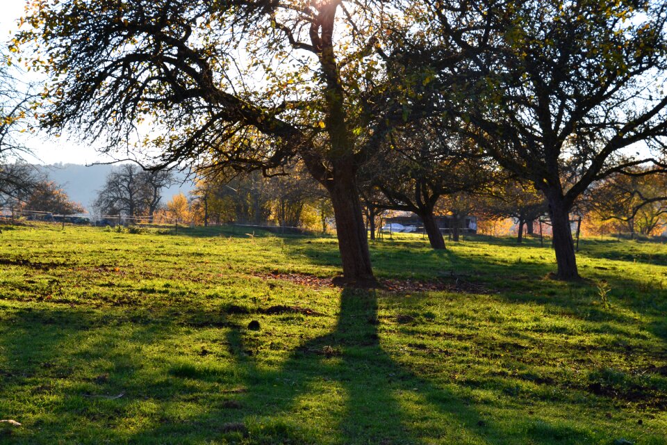 Autumn nature outdoor