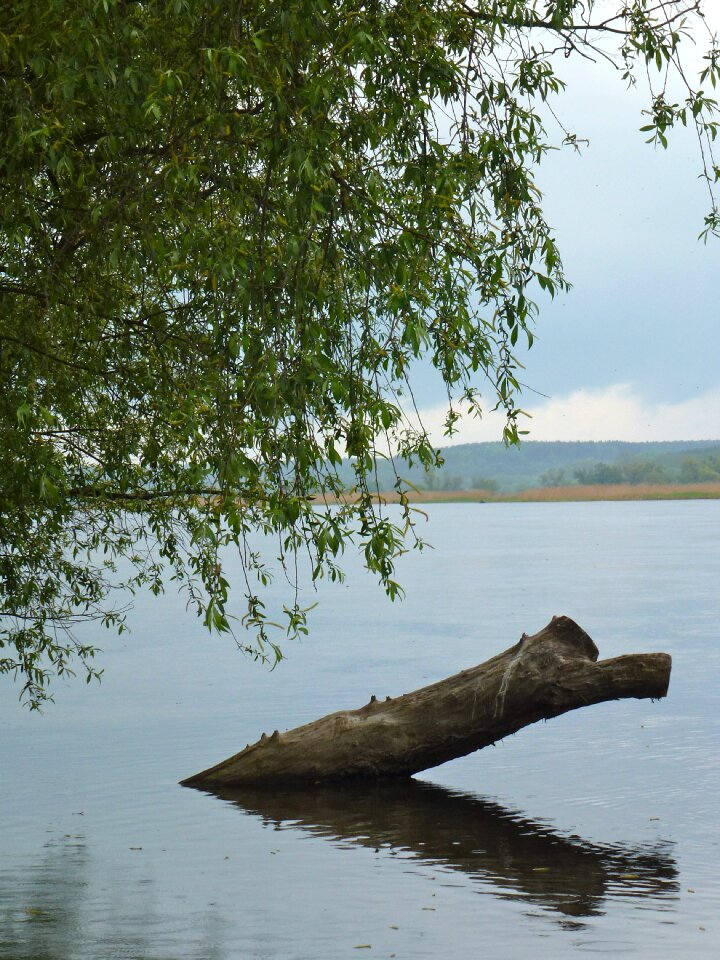Oderbruch river impressions