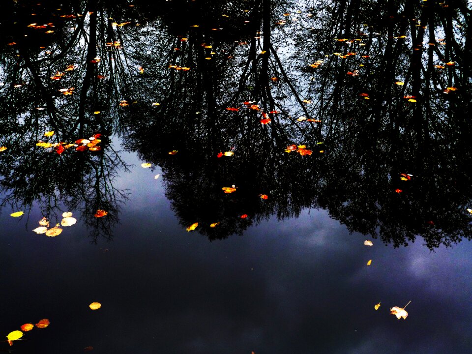 Pond nature surface