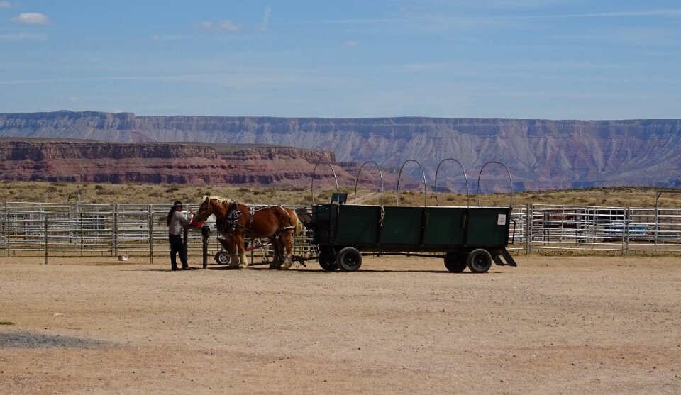 Grand canyon wagon horse cart