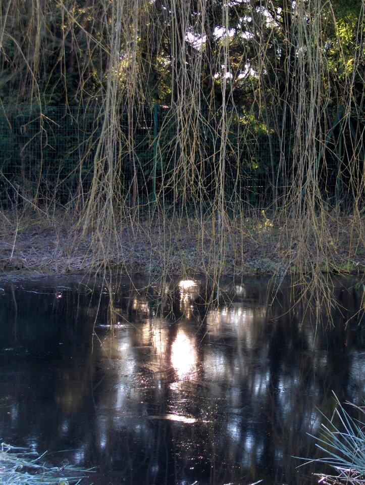 Winter light reflections mare