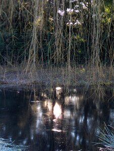 Winter light reflections mare