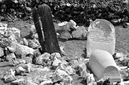 Disease tomb bury