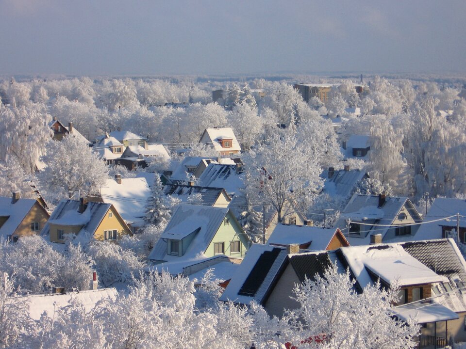 Nature frost winter landscape