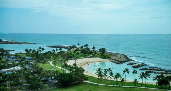 Tropical nature ocean
