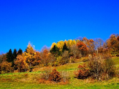 Autumn landscape blue sky autumn colors