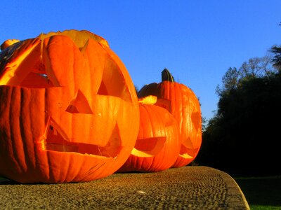 Halloween pumpkin october lantern