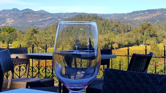 Napa wine glass photo