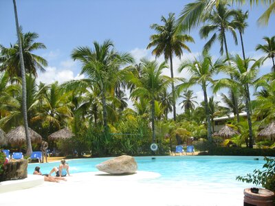 Summer tropical poolside photo