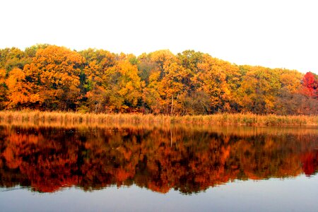 Reflection yellow landscape photo