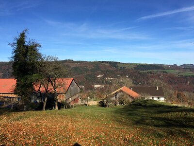 Meadow pasture autumn