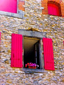 Flowers exterior home bright