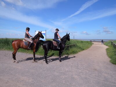 Horsewoman beach ride