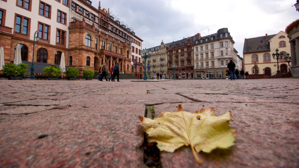 Leaf architecture town hall photo