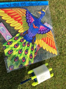 Kite suwon hwaseong Free photos
