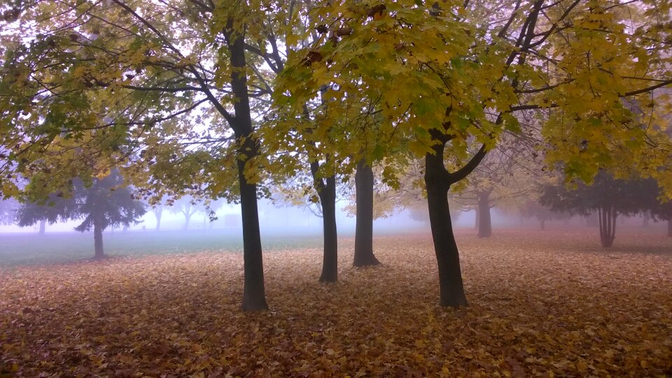 Landscape hungary region