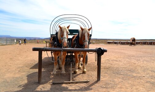 Grand canyon wagon horse cart