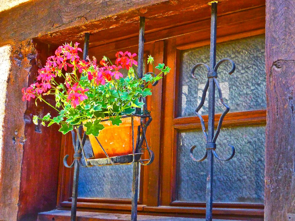 Floral bouquet spring