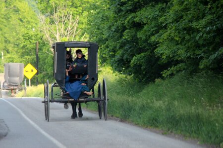 Amish country amish buggy