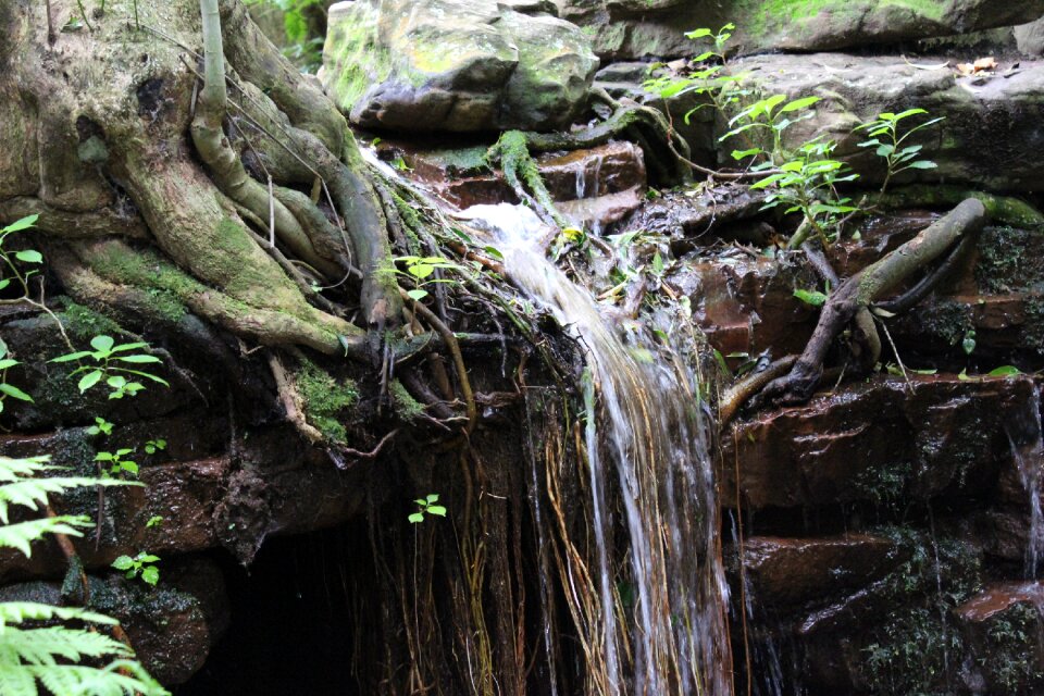 Cascade scenery nature