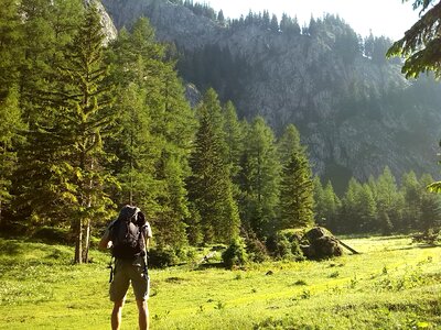 Mountains meadow coach