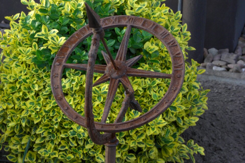 Nature green brown