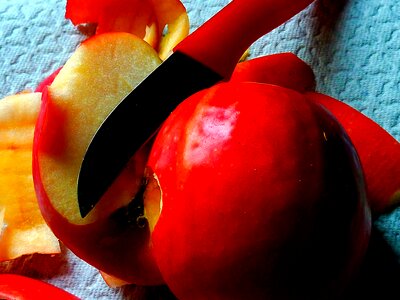 Harvest eat windfall