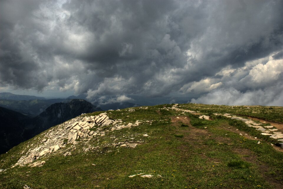 Forest mountains vistas