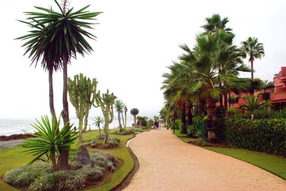 Seaside exotic residence
