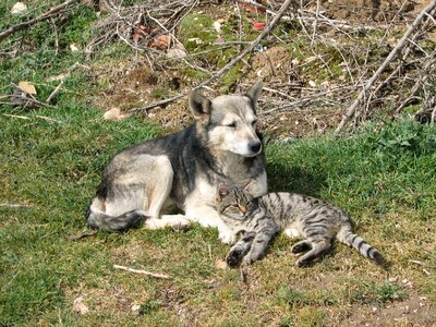 Friendship love Free photos