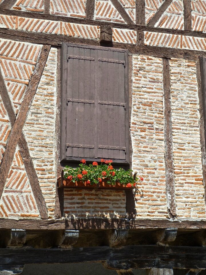 Flowers facade architectural