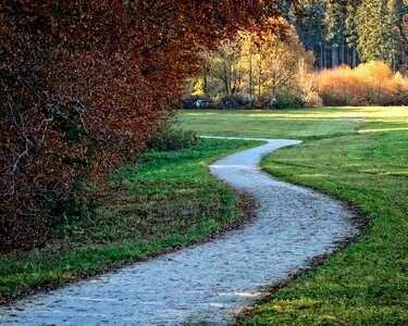 Nature trail idyll photo