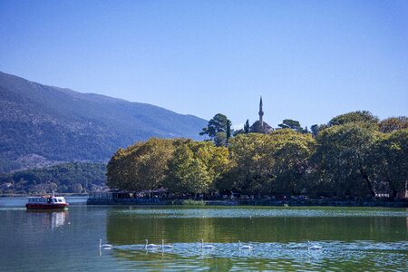 Summer plane trees mosque